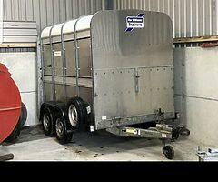 Wanted 8x5 or 10x5 cattle trailer