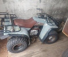 Yamaha timberwolf 250