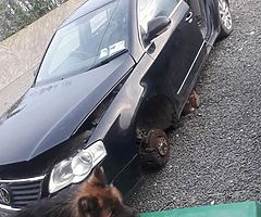 05 vw passat breaking only - Image 3/5