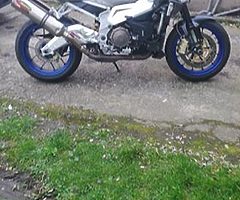 2006 Aprilia Tuono - Image 4/4