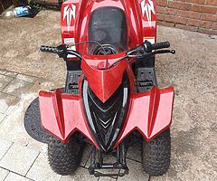 2019 A.P.C Motor Company Xnemis