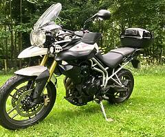 2010 Triumph Tiger