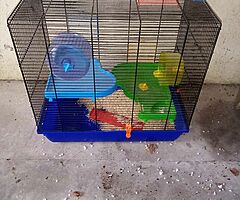 Hamster cage - Image 2/6