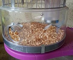 Hamster cage - Image 3/6
