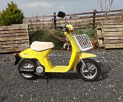 1981 Honda Melody - Image 5/6