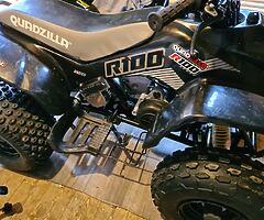2019 Quadzilla  R100