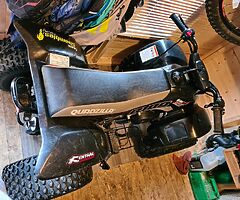 2019 Quadzilla  R100