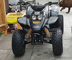 2019 Quadzilla  R100 - Image 3/4