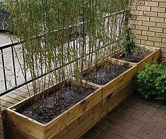 Wooden planters and raised beds