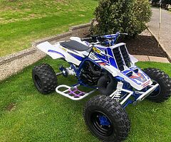 Bsnshee 350