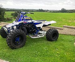 Bsnshee 350