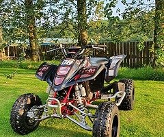 Suzuki ltz 400 (limited edition) - Image 7/7
