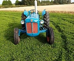 Fordson dexta for sale - Image 4/7