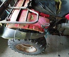 Quad