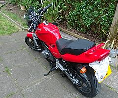 1997 Kawasaki ER5 Red - Image 5/10