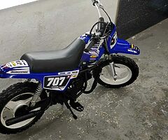 Pw50