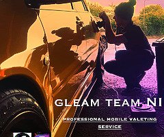 Gleam Team NI (Professional mobile valeting service )