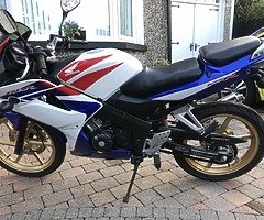 2008 honda cbr125r very very clean