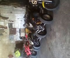 Quad wanted
