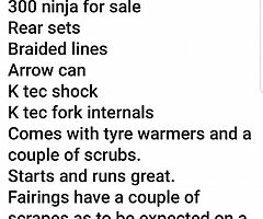 300 ninja race bike - Image 8/9