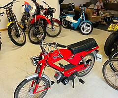 1977 Batavus 50