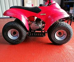 2001 Eton Rascal