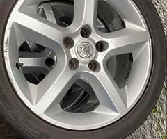 17 inch pentas