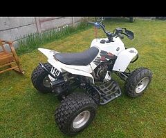 Quadzilla rmx 100