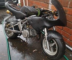 2018 Polini Minimoto