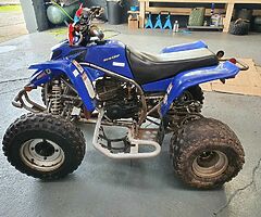 2006 Yamaha Blaster