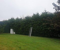 Micks tree care and garden service  - Image 2/10