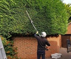 Micks tree care and garden service  - Image 8/10