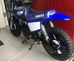 Pw50 (brand new )
