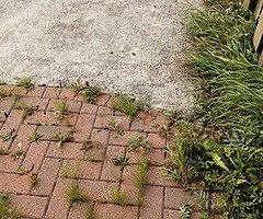 Power washing services