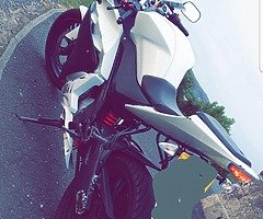 Yamaha 125cc YZF-R 61 PLATE - Image 3/10