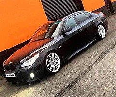 Wanted 9.5j spider