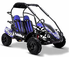 Any buggys for sale