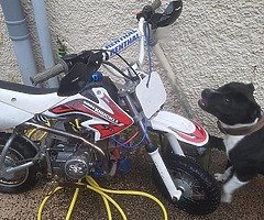 Pitbike