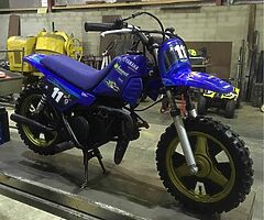 Pw 50