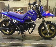 Pw 50