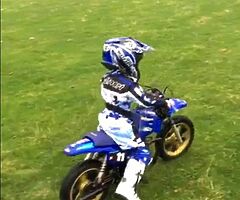 Pw 50 - Image 4/6