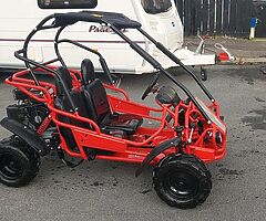 Hammerhead mudhead 208r buggy