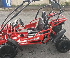 Hammerhead mudhead 208r buggy