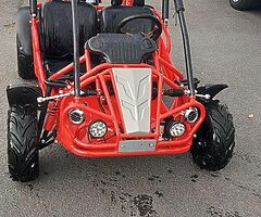 Hammerhead mudhead 208r buggy - Image 4/4