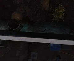 Power washing services