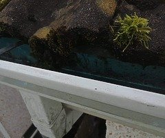 Power washing services - Image 6/10