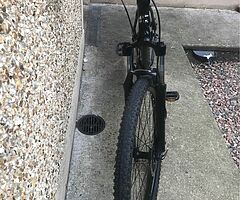 Carrera 20inch mountain bike