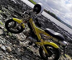 Quad & bike