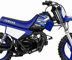 2021 Yamaha PW