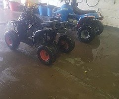 2x quads for sale